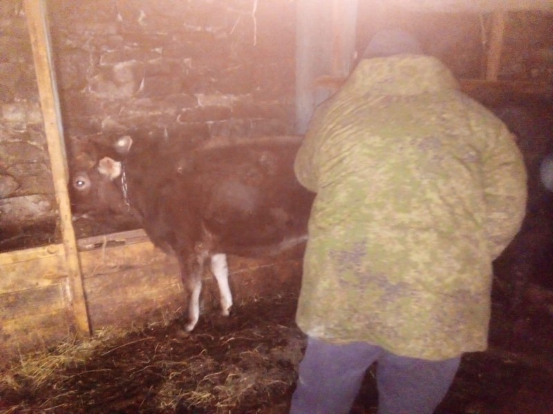 Ветеринарные мероприятия Агульском районе