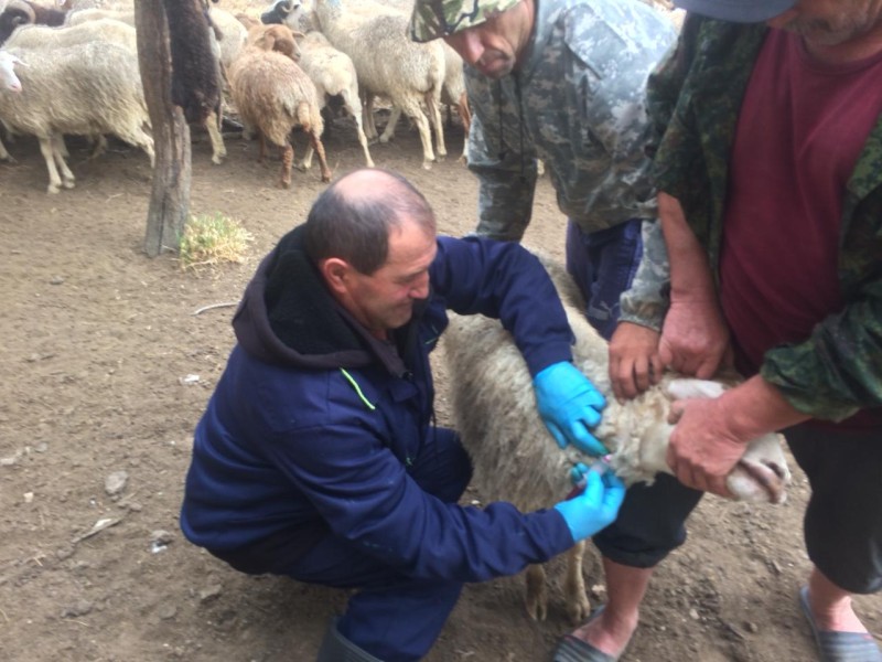 Диагностические мероприятия в Дахадаевском районе