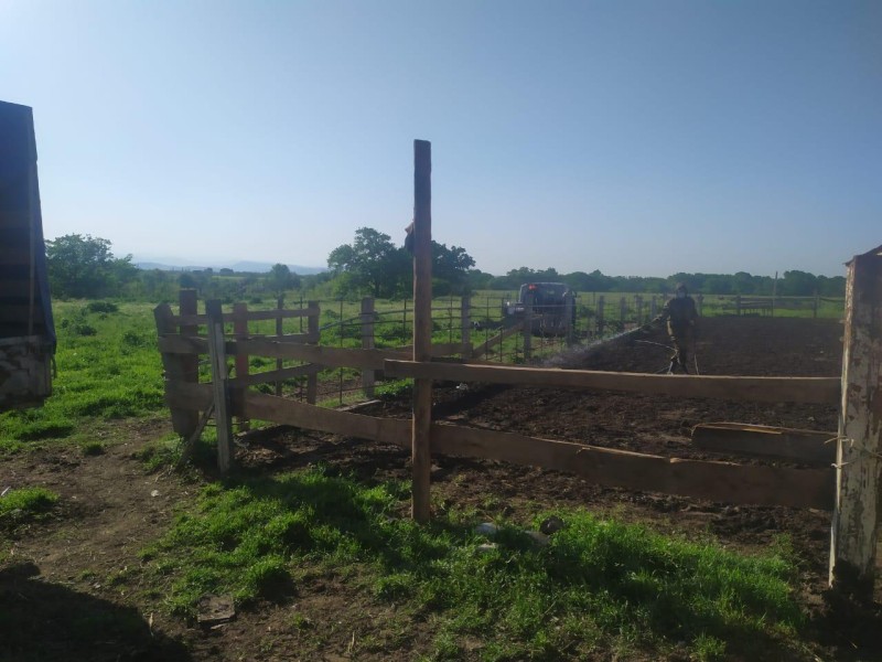 Деятельность ГБУ РД «Ветеринарная дезинфекция» за 2024 год