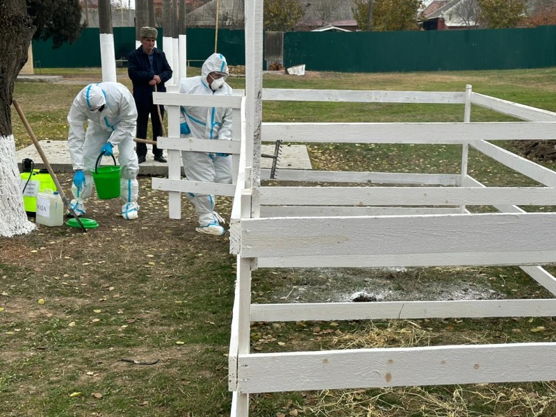 В Чеченской Республике провели межведомственные тренировочные учения по локализации и ликвидации условного очага сибирской язвы