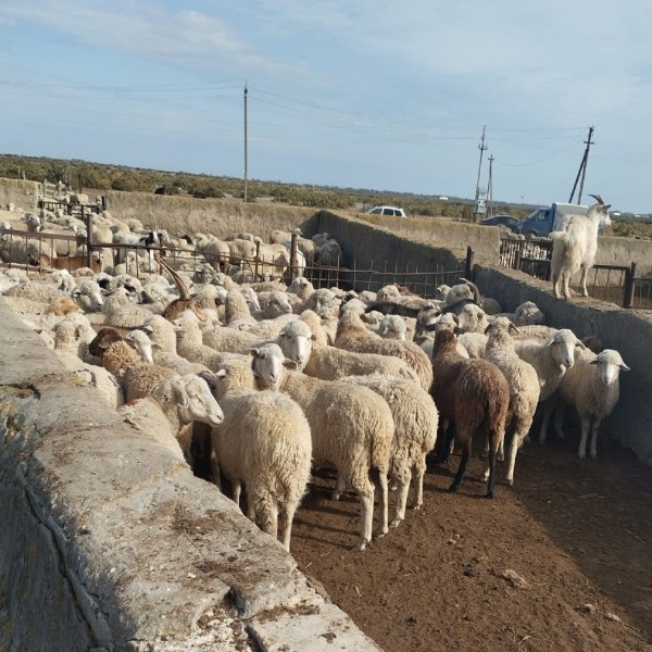 Мониторинговые мероприятия на купочных ваннах