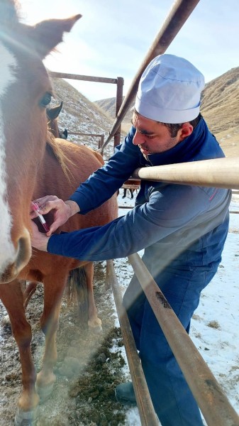Ветеринарно-профилактические мероприятия в Гунибском районе