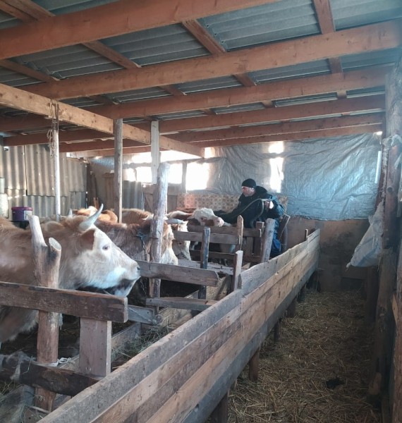 Ход выполнения плановых ветеринарных мероприятий в хозяйствах республики