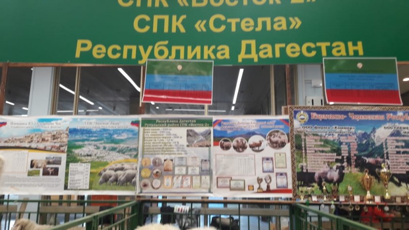 «Золотая осень - 2018»