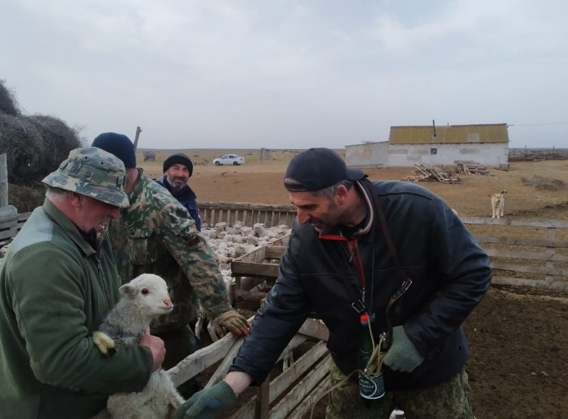 Ветеринарные мероприятия в Чародинском районе