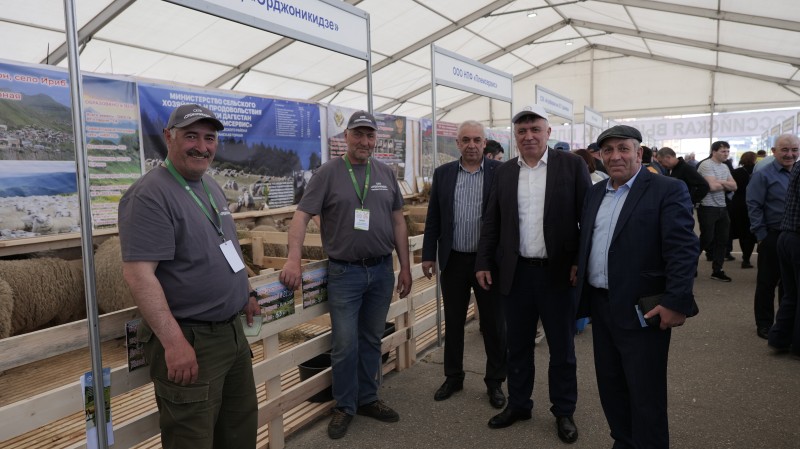 В Дагестане проходит 23 –я Российская выставка племенных овец и коз