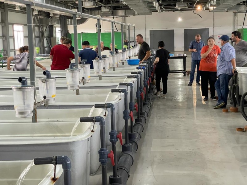 Работа Кизлярского участка отдела по борьбе с инфекционными и массовыми незаразными заболеваниями животных и рыб