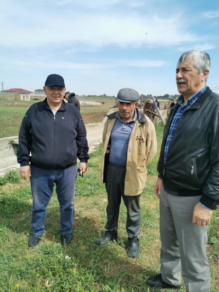 В Дагестане начался перегон овец