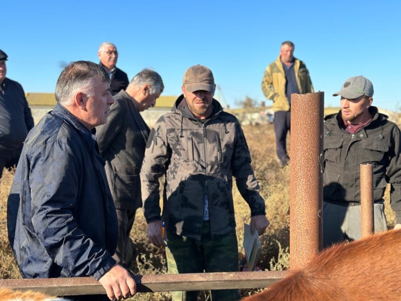 Председатель Комитета ознакомился с ходом проведения ветеринарных мероприятий на землях отгонного животноводства