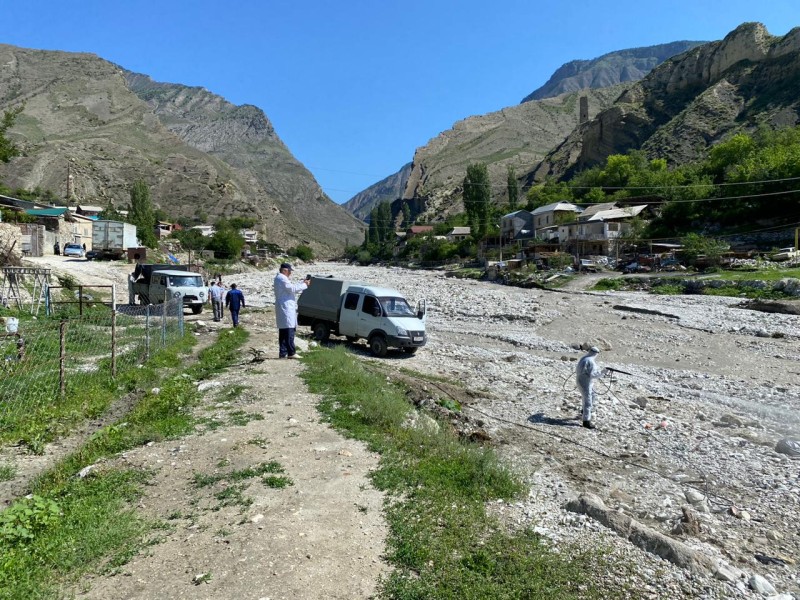 Дезинфекционные мероприятия в оздоровленных хозяйствах