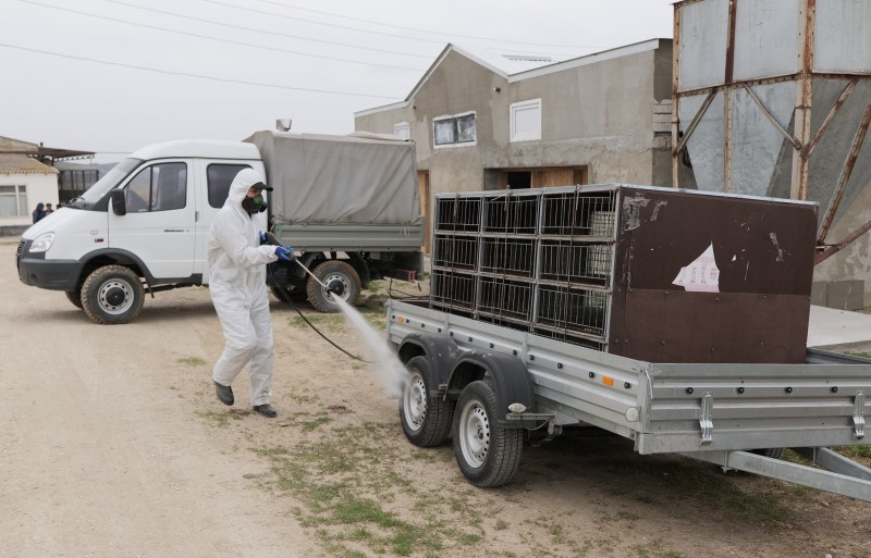 Комитетом по ветеринарии РД проведено очередное учение по ликвидации условного очага особо опасного заболевания
