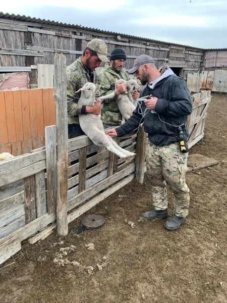 Профилактические и диагностические ветеринарные мероприятия в Тляратинском районе
