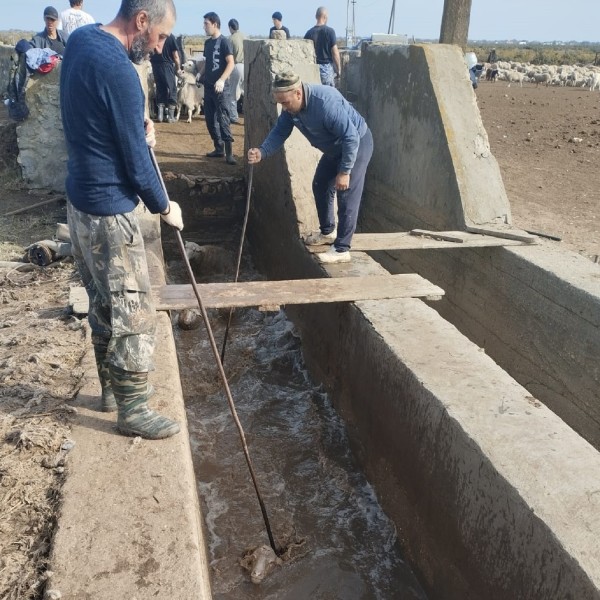 Мониторинговые мероприятия на купочных ваннах