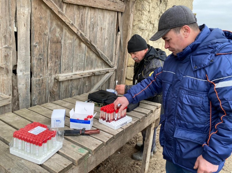 В рамках проекта «Эффективный АПК»