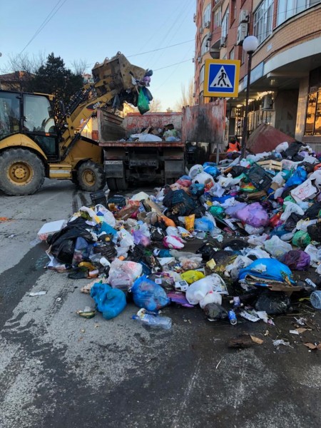 Ветеринары на субботнике!