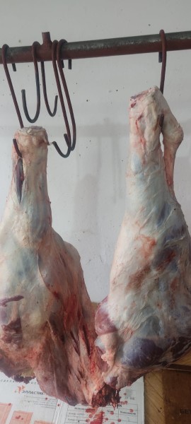 Мониторинговые мероприятия северного межрайонного отдела мониторинга