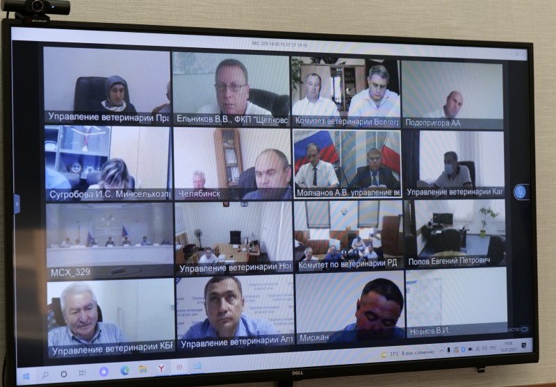 Совещание в режиме ВКС