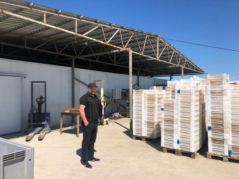 Выданы ветеринарно-регистрационные удостоверения по результатам обследования в п. Сулак