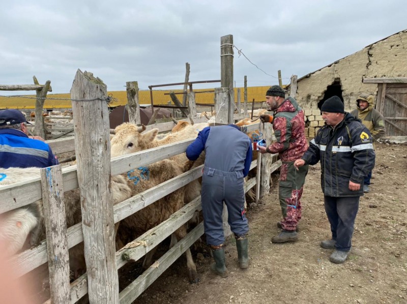 В рамках проекта «Эффективный АПК»