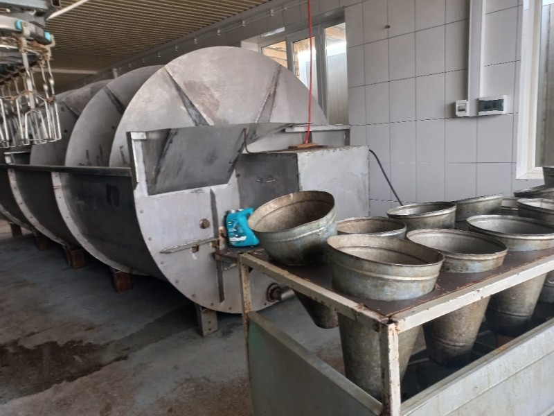 Мониторинговые мероприятия в племенном хозяйстве