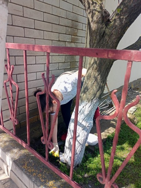 Субботники в ветеринарных управлениях