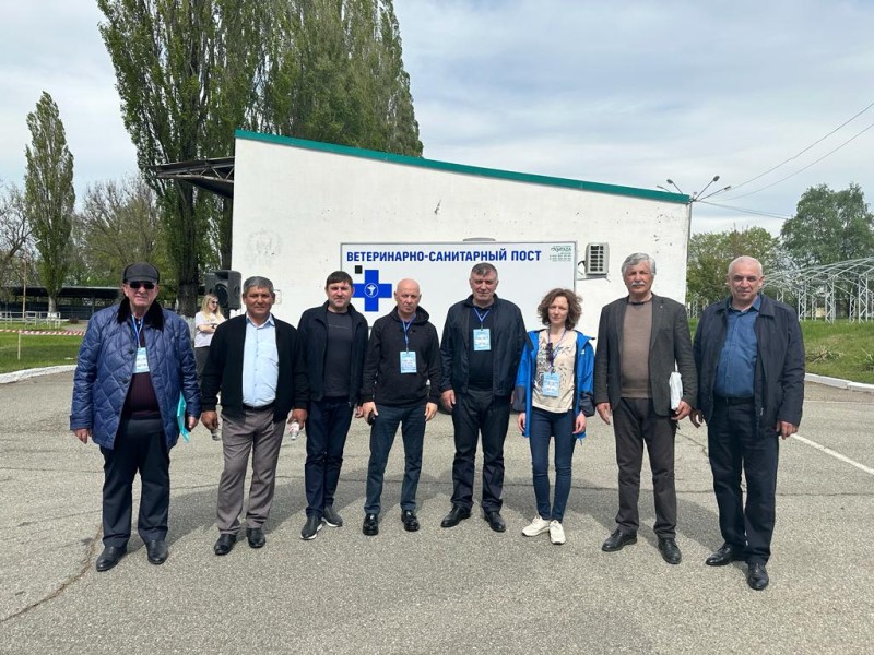 На Ставрополье прошли учения по локализации и ликвидации условного эпизоотического очага ящура