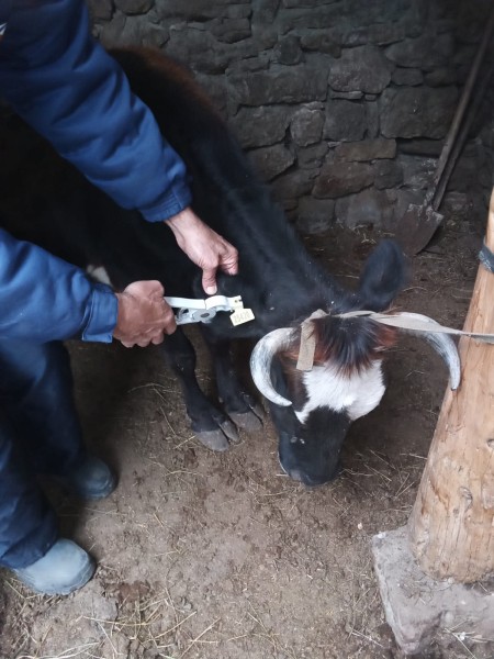 В Унцукульском районе завершаются плановые мероприятия