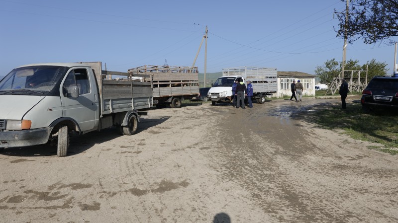 Мониторинг деятельности ООО «Манасская ярмарка»