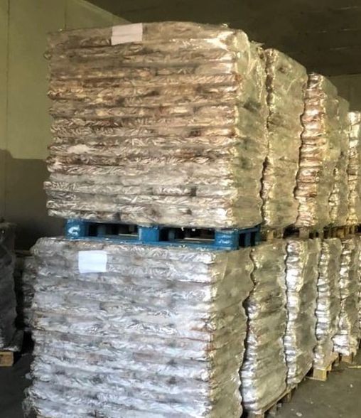 Мониторинговое мероприятие в ООО РПК «Каспий»