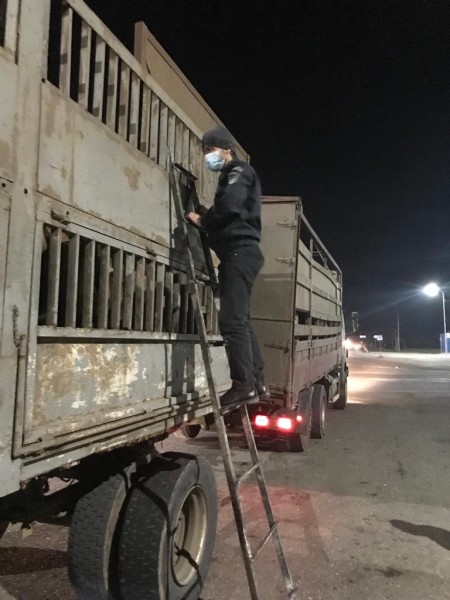 О работе Кизлярского ветеринарно-полицейского поста