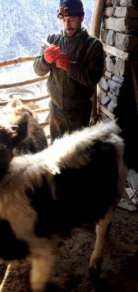 Профилактические и диагностические мероприятия в Шамильском районе