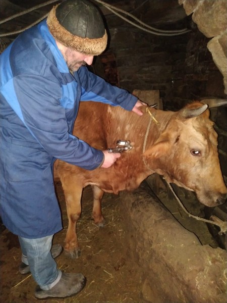 Плановые профилактические и диагностические мероприятия