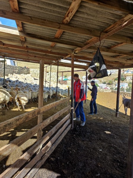 Осенние ветеринарные мероприятия в районах республики