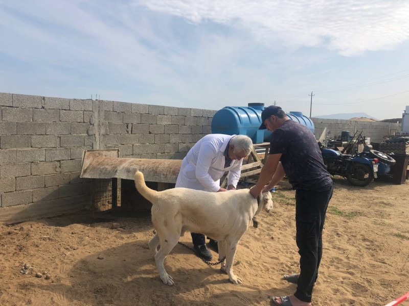 Региональные командно-штабные учения по локализации и ликвидации условного очага бешенства