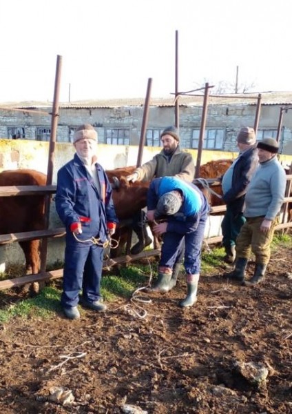 Мероприятия в Карабудахкентском районе