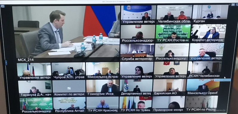 Состоялось обсуждение исполнения Плана мероприятий по поддержанию признанных МЭБ благополучных статусов по ящуру регионов