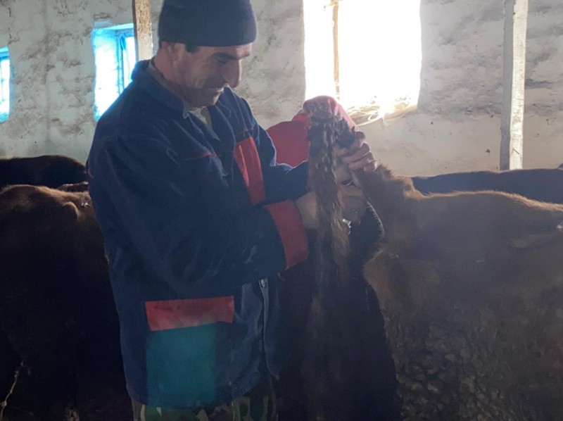 Рабочая поездка председателя Комитета в Бабаюртовский район