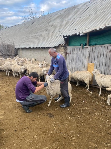 Ветеринарные мероприятия в Гунибском районе