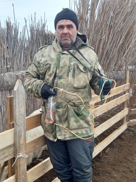 Плановые ветеринарные мероприятия