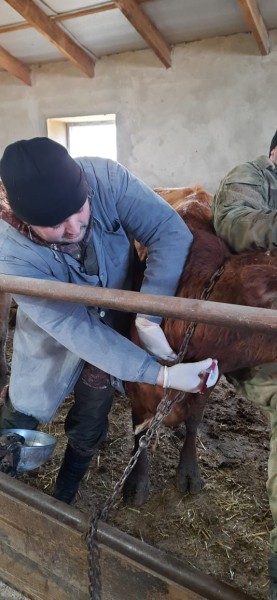 В Карабудахкентском районе подвели итоги работы за 2022 год