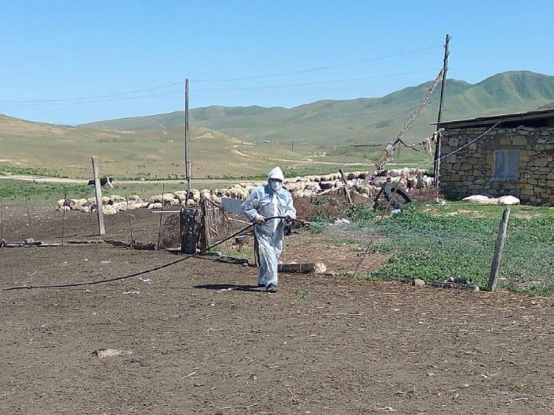 Деятельность ГБУ РД «Ветеринарная дезинфекция» за 2024 год