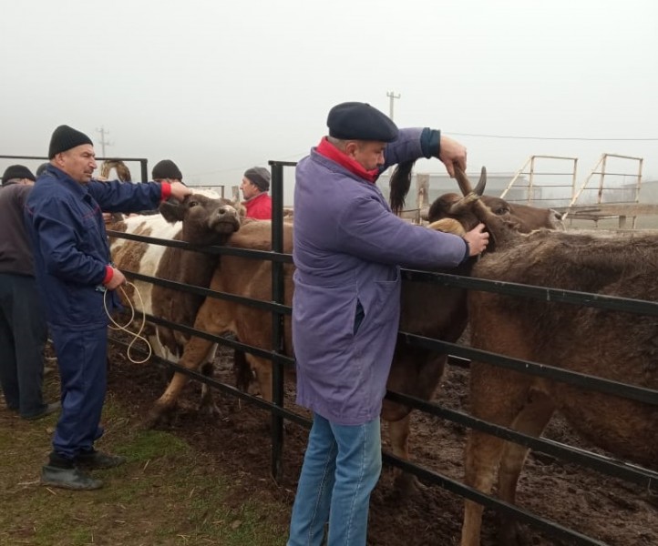 Итоговое совещание ветеринарной службы Сулейман-Стальского района