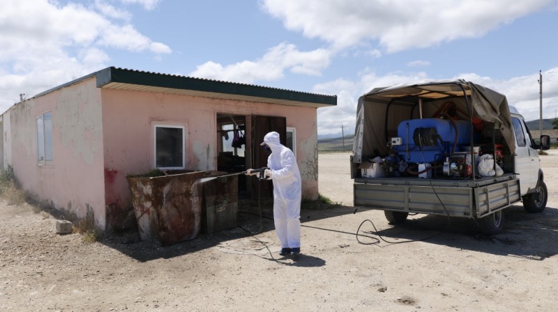 Ветеринарно-санитарные мероприятия на территории ООО «Манасская ярмарка»