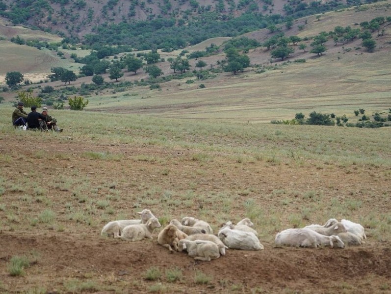 Вести с районов