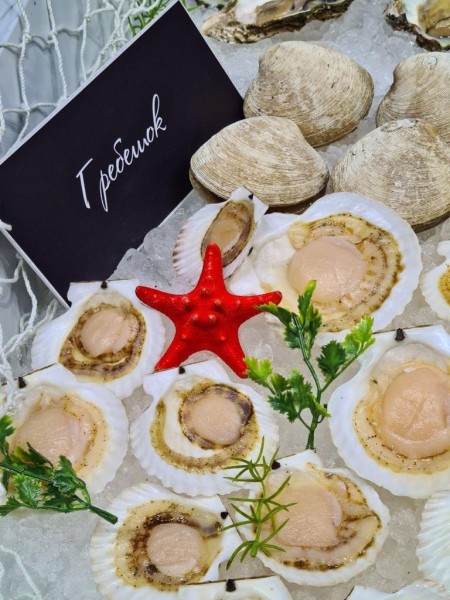 В Санкт-Петербурге состоялся международный рыбопромышленный форум – выставка рыбной индустрии, морепродуктов и технологий