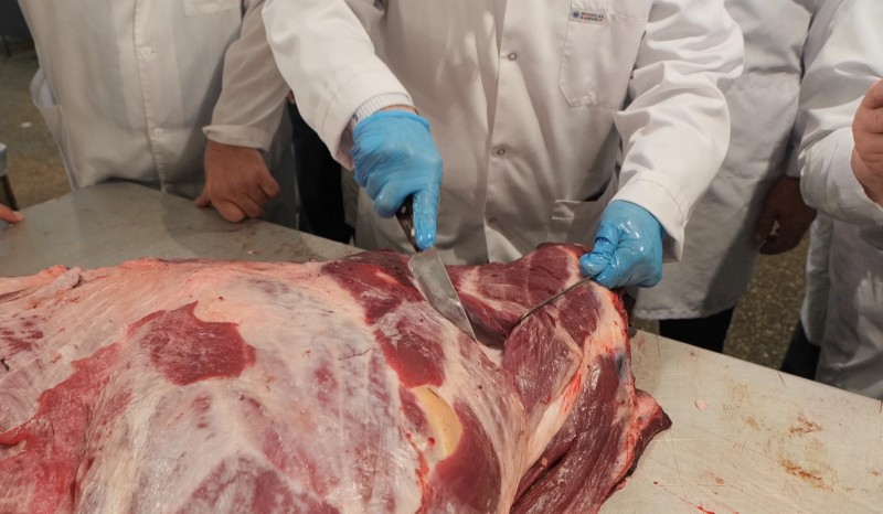 В Махачкале проведено занятие по совершенствованию практического мастерства специалистов ЛВСЭ