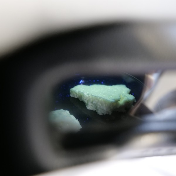 Мониторинговая работа на ярмарках и рынках выходного дня