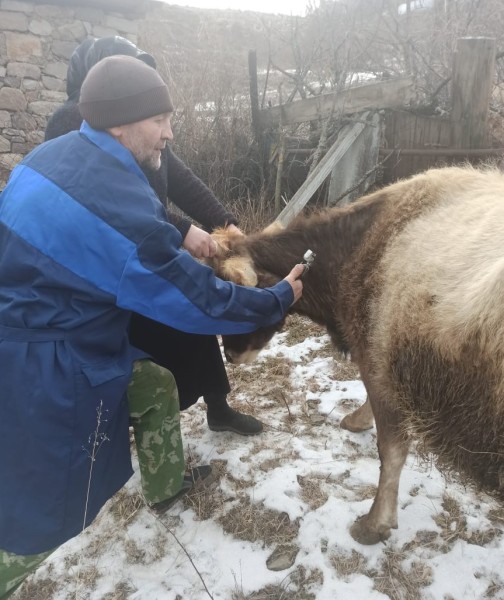 Противоэпизоотические мероприятия в республике