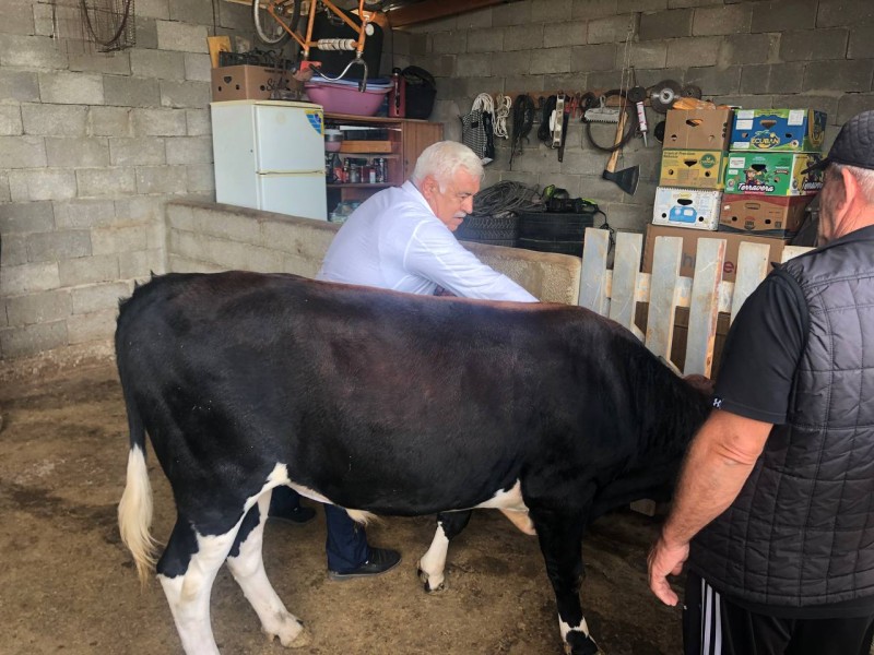 Региональные командно-штабные учения по локализации и ликвидации условного очага бешенства