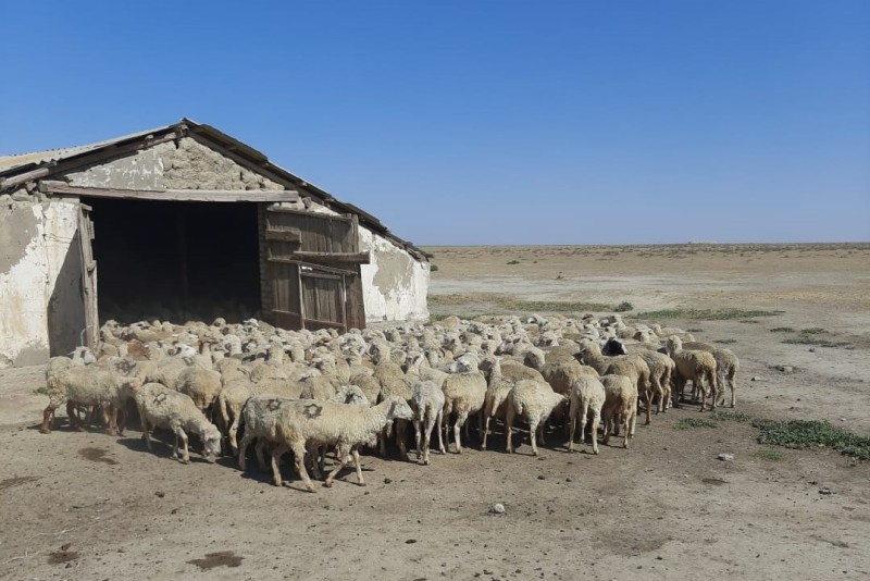 Мониторинговые мероприятия межрайонного отдела «Северный»